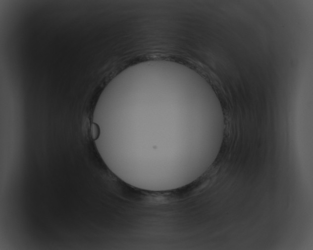 X0000101160523200806270735