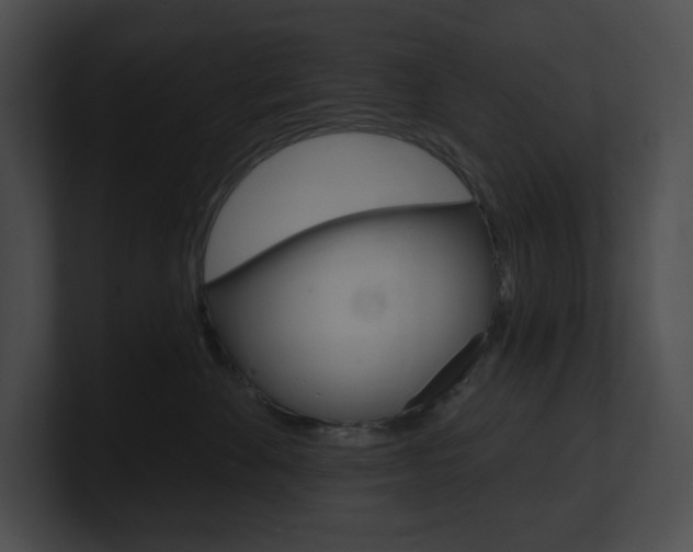 X0000101160524200806270735