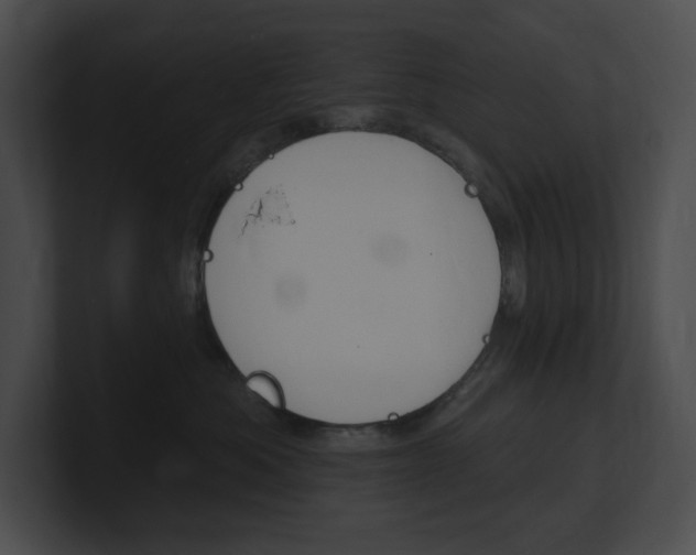 X0000101160525200806270735