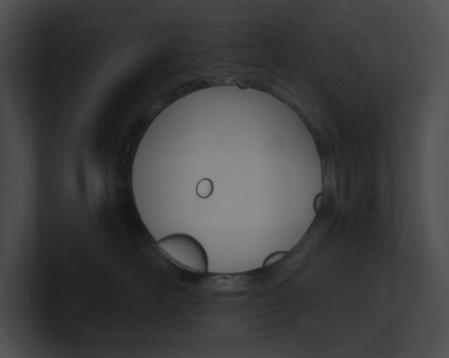 X0000101160526200806270735
