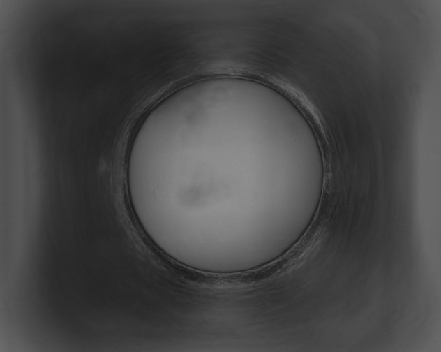 X0000101160529200806270734