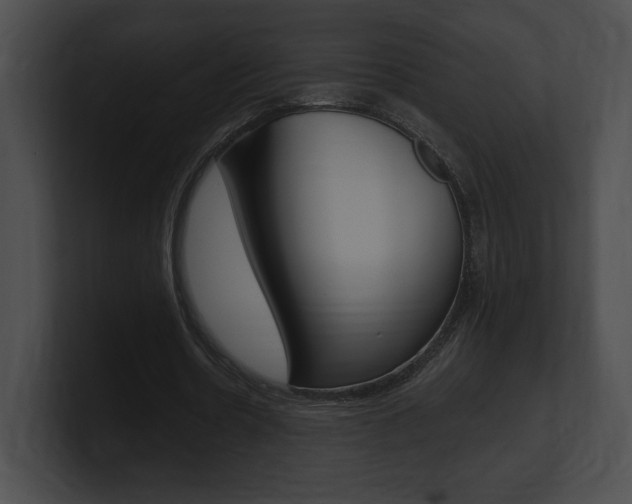 X0000101160530200806270734