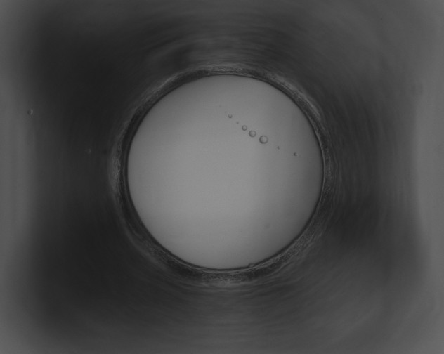 X0000101160533200806270734