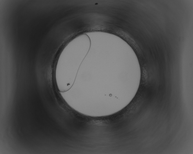 X0000101160534200806270734