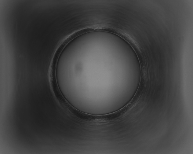 X0000101160536200806270734