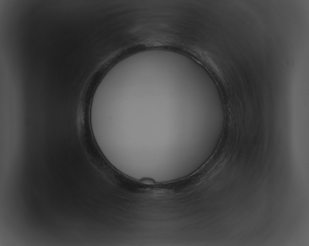 X0000101160539200806270734