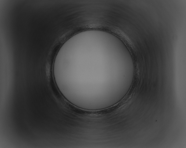 X0000101160542200806270734