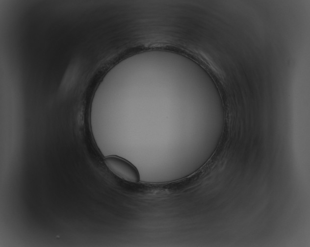 X0000101160543200806270734