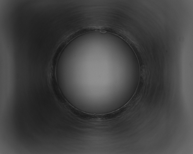 X0000101160544200806270734