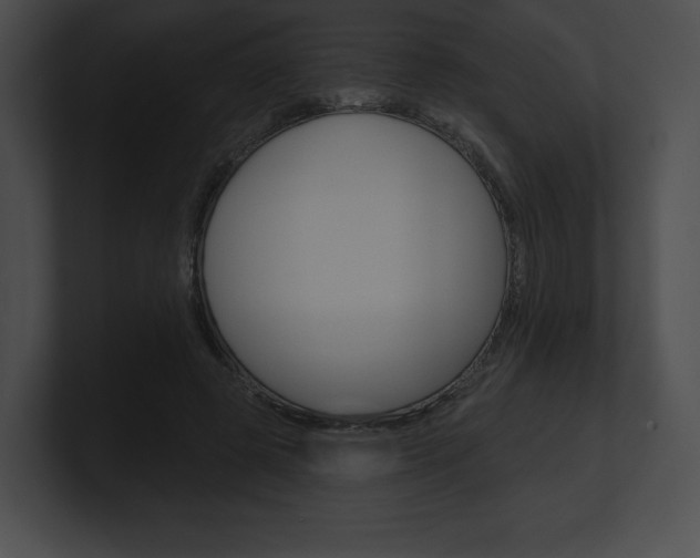 X0000101160545200806270735