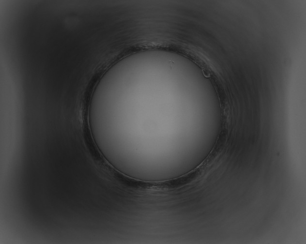 X0000101160546200806270735
