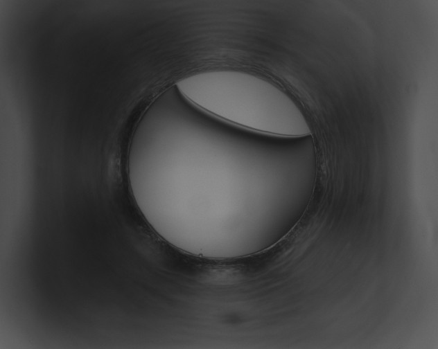 X0000101160547200806270735