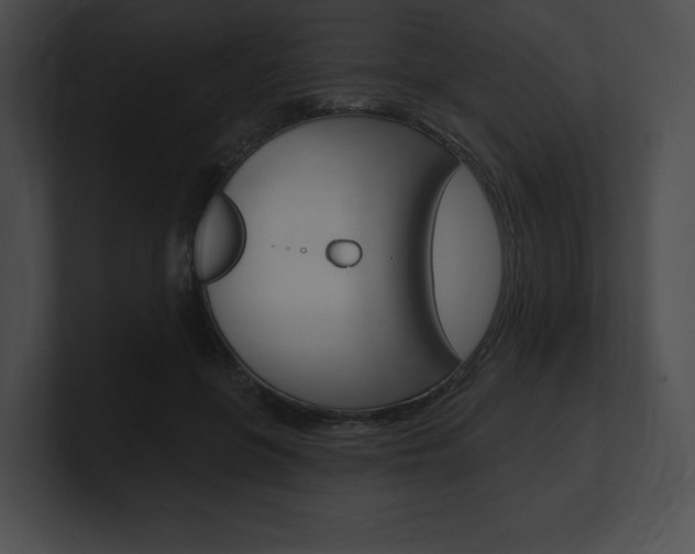 X0000101160551200806270735