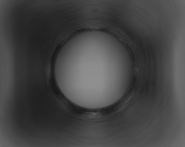 X0000101160552200806270735