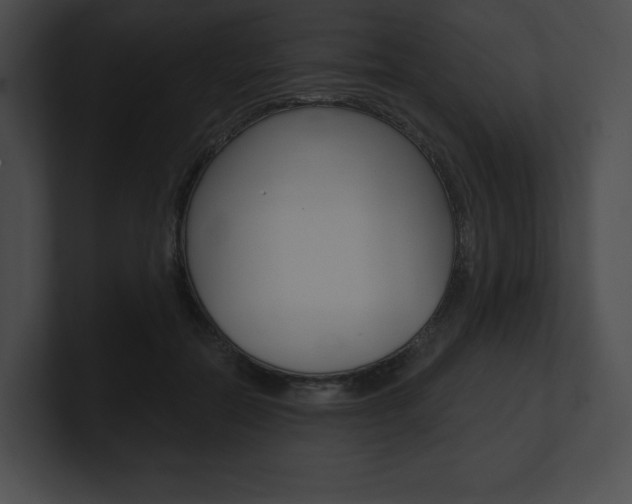 X0000101160554200806270735