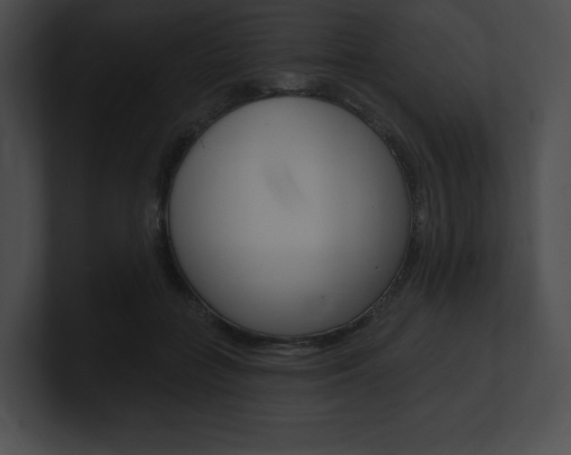 X0000101160555200806270735