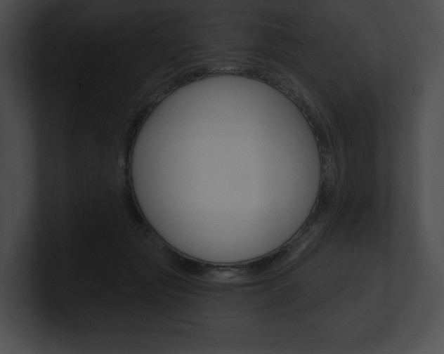 X0000101160557200806270735