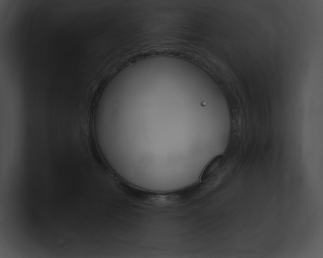 X0000101160558200806270735