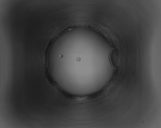 X0000101160560200806270735