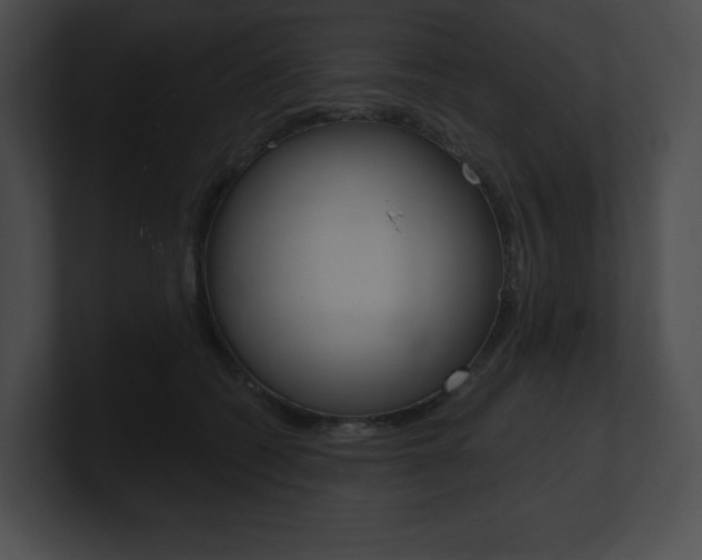 X0000101160562200806270735