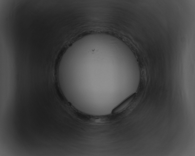 X0000101160564200806270735