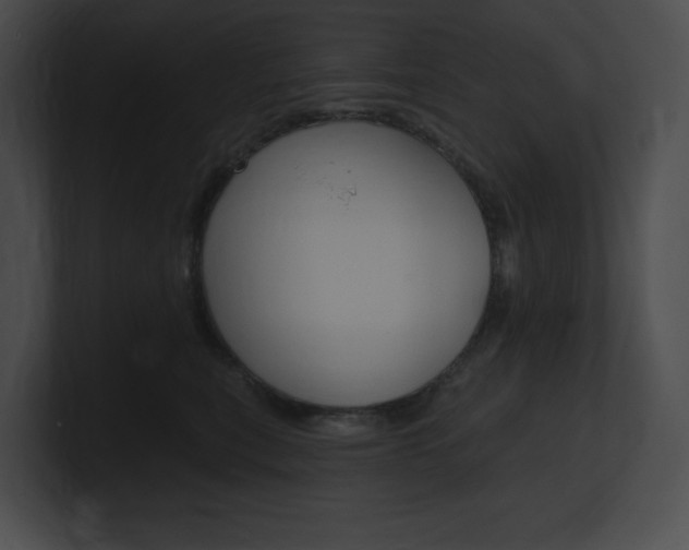 X0000101160567200806270735