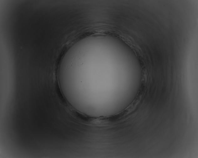 X0000101160568200806270735