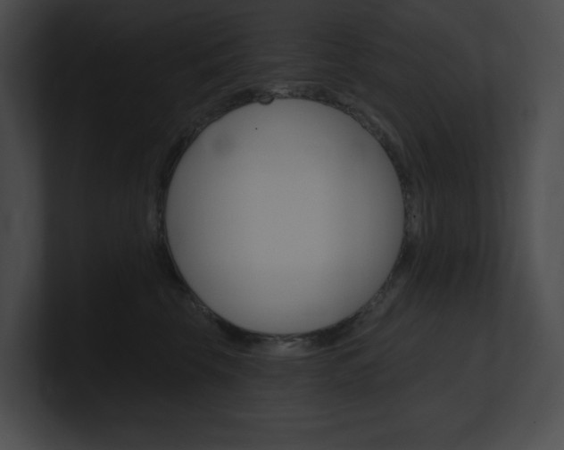 X0000101160569200806270735
