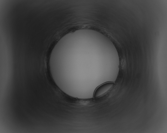 X0000101160570200806270735