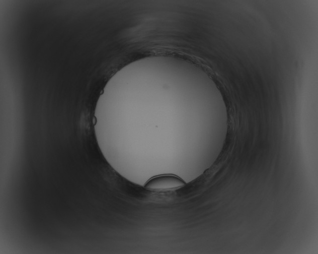 X0000101160571200806270735