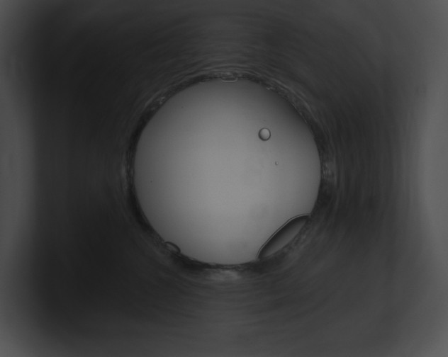 X0000101160572200806270735