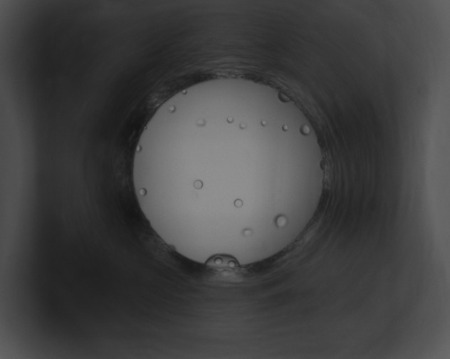 X0000101160573200806270735