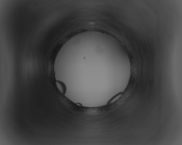 X0000101160574200806270735