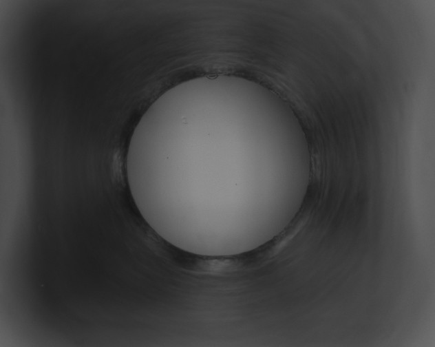 X0000101160575200806270735