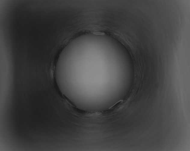 X0000101160576200806270735