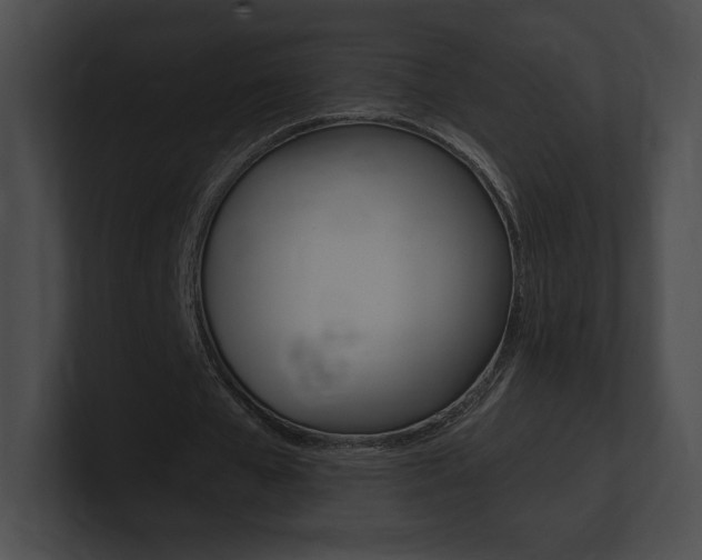 X0000101160577200806270734