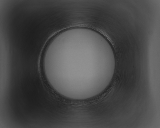 X0000101160579200806270734