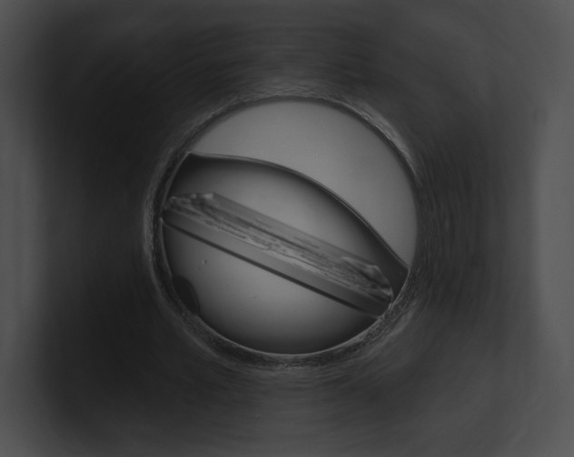 X0000101160581200806270734