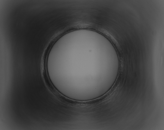 X0000101160582200806270734