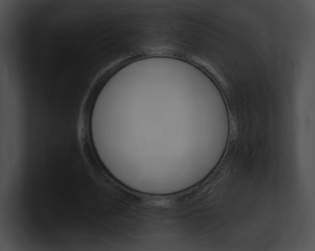 X0000101160583200806270734