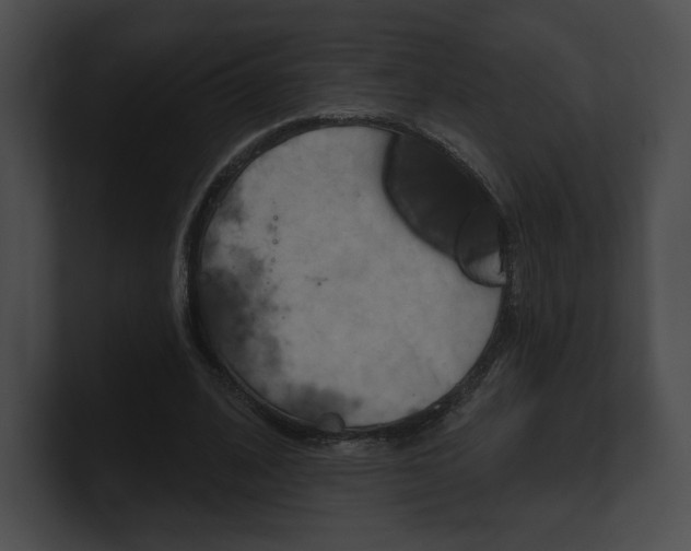 X0000101160584200806270734