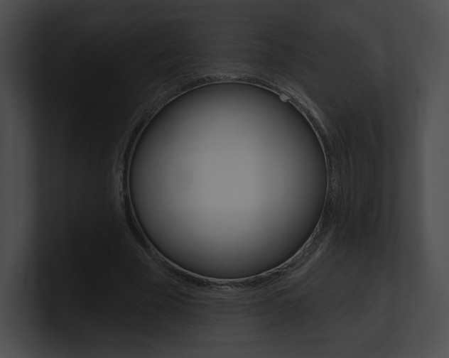 X0000101160585200806270734