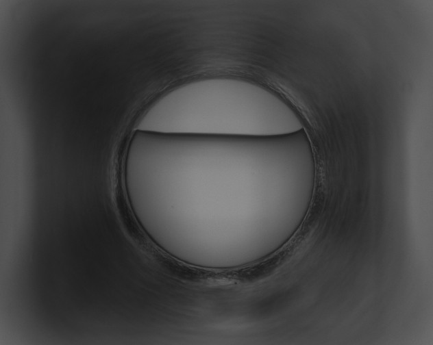 X0000101160586200806270734
