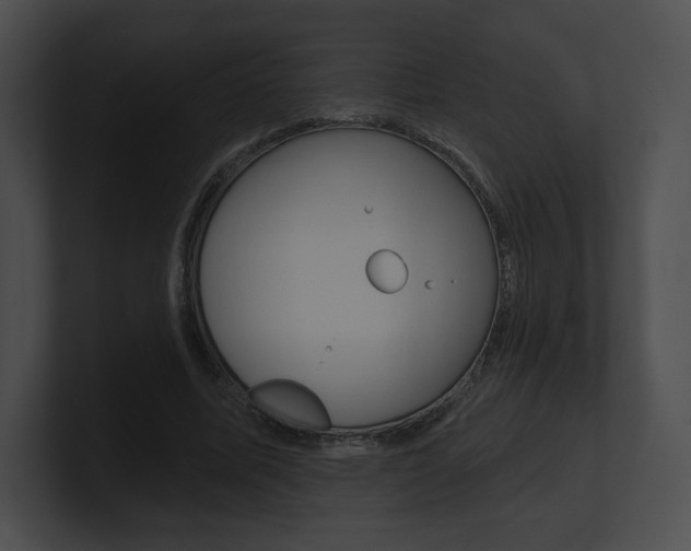 X0000101160587200806270734