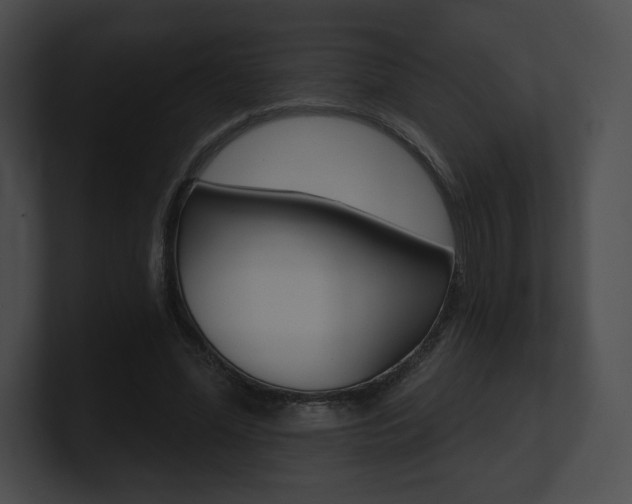 X0000101160588200806270734