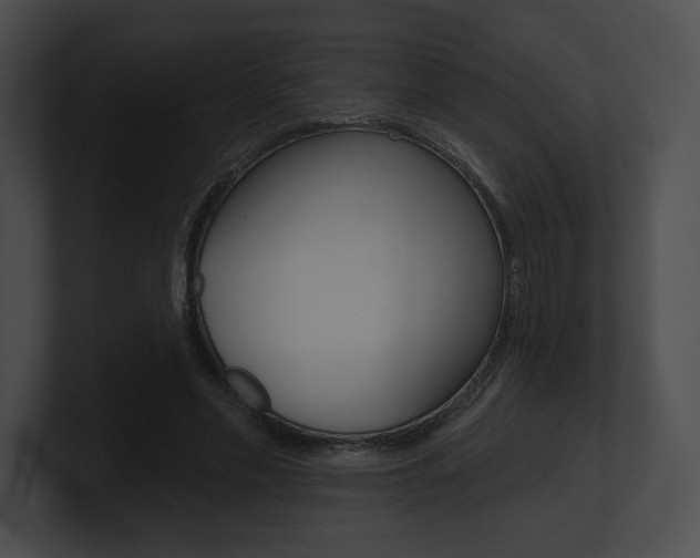 X0000101160589200806270734