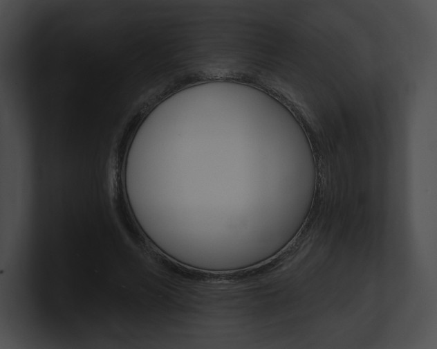 X0000101160590200806270734