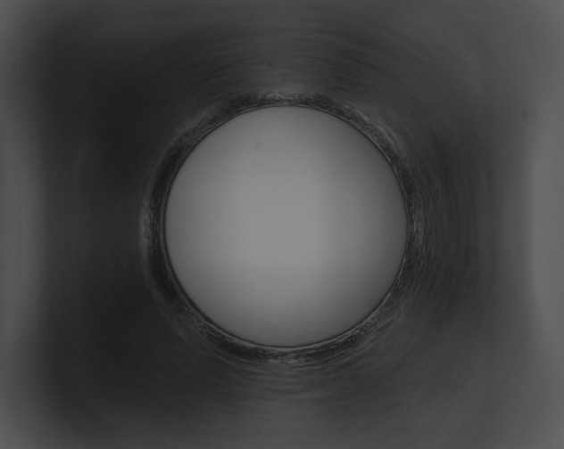 X0000101160591200806270734
