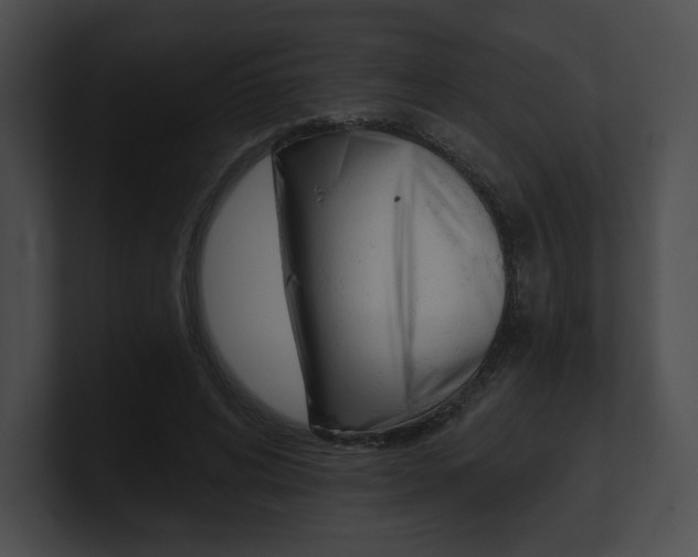X0000101160592200806270734