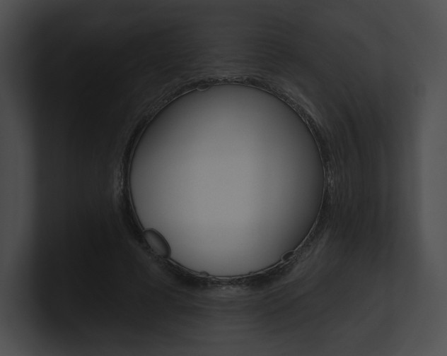 X0000101160593200806270734